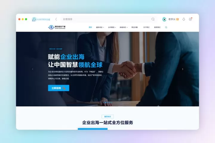 知识产权WordPress定制开发案例
